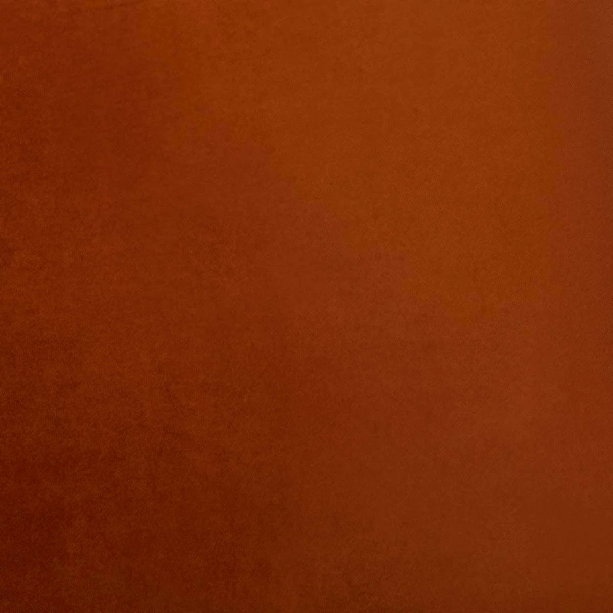 Richie Occasional Chair - Rust/Walnut - Image 8